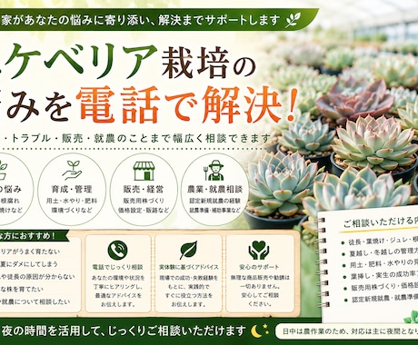 現役農家がエケベリア栽培の悩みを電話で解決します 現役生産者が夏越し・根腐れ・徒長の悩みを電話で解決します イメージ1