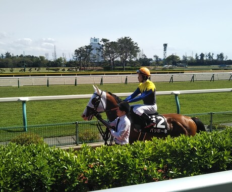 競馬の予想ます 中央競馬から南関東競馬まで毎日の競馬で的中馬券をプレゼント！ イメージ1
