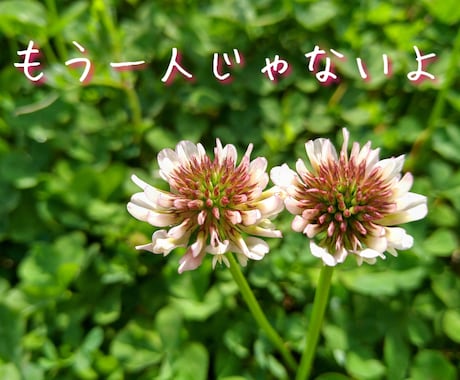 つらい時＊孤独不安恐怖トラウマお話お聴きいたします まず心の傷をやわらげましょう✤あなたのお話真剣にお伺いします イメージ2