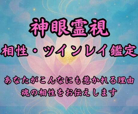 彼との縁はツインレイ？魂の記憶を神眼で読み解きます あなたと彼を結ぶ“運命の理由”を、魂の記憶から紐解きます。 イメージ1
