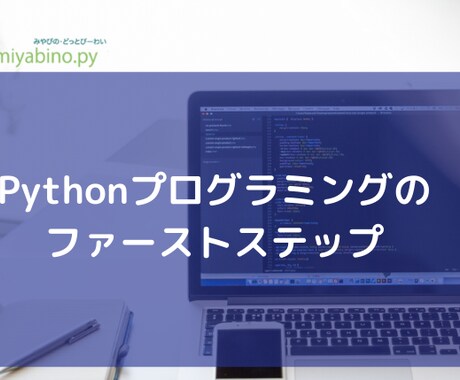 Pythonプログラミングの始め方をサポートします プログラミングのファーストステップを教えます イメージ1