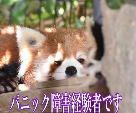 パニック障害経験者が5分、お話うかがいます パニック障害との付き合い方等　5分お話ししましょう。 イメージ1