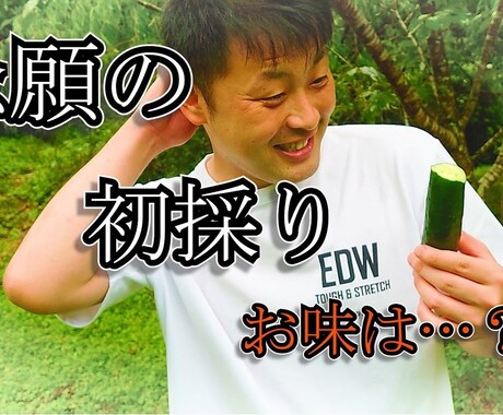 PV，思い出動画、結婚式余興動画等作ります どんな事でもまず相談!PremierProのノウハウあります イメージ1