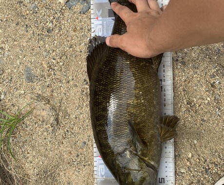 一庫ダムのポイント教えます スモールマウスバスが釣れるポイント教えます！ イメージ2