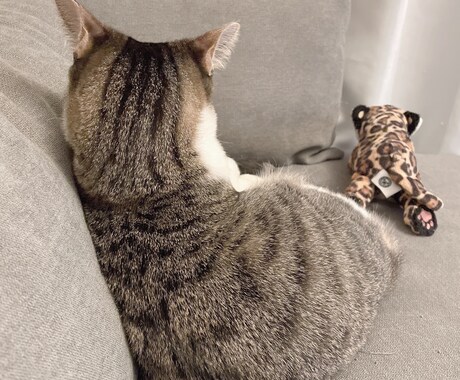 虹組さん✰現役さんからのメッセージを届けます １問＋伝言ライト版♡心を紡ぎ、愛を紡ぐお手伝いをいたします♡ イメージ2