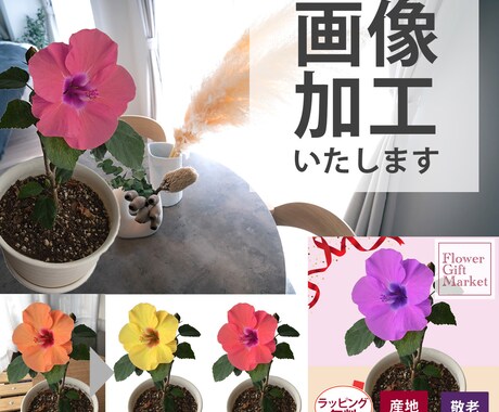 切り抜き・白背景・文字入れなど、画像加工いたします イメージ1