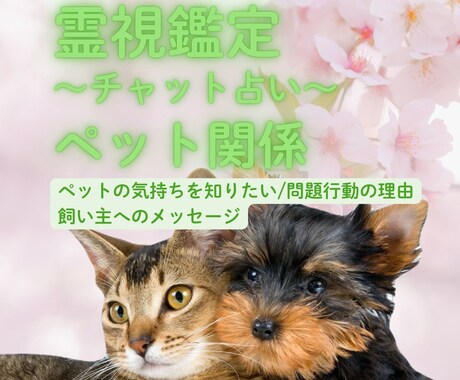 霊視からペットの気持ちを鑑定いたします 飼い主さんの不安に寄り添います♪ イメージ1
