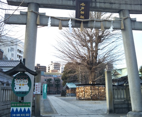 今戸神社ナミちゃん写真に癒やされますます 猫お好きな方　神社にいる白いお猫様　幸せを運んできて欲しい方 イメージ1