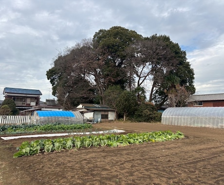 便利屋経験10年。始め方などレクチャーします どう始めたらいいか。そういう方お気軽にお問い合わせください♬ イメージ1