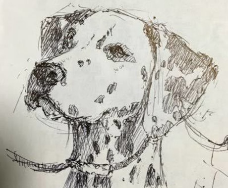ペットのイラストを鉛筆画でお描きします 犬、猫どんな動物も承ります!初出品ですが宜しくお願いします