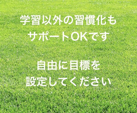学習応援！出版翻訳者が「習慣化をサポート」します 「21日間」本気でとりくむ意欲のある方向けのサービスです イメージ2