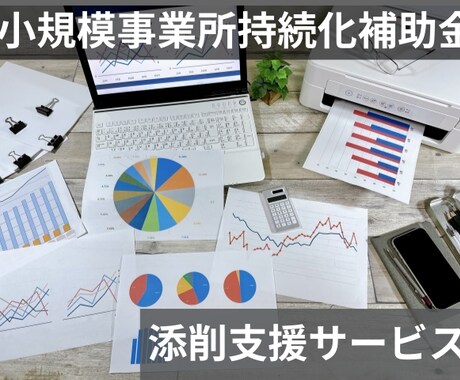 小規模事業者持続化補助金の計画書を添削支援します 審査の”ツボ”をおさえた事業計画書の作成支援！ イメージ1