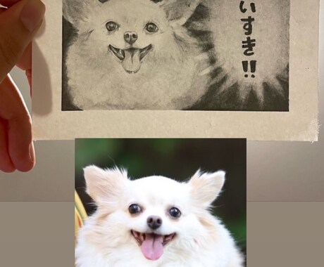 鉛筆画であなたのペットをリアルに描きます 大切なペットの思い出の瞬間をポストカードにしませんか？ イメージ2