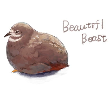 ペットの小鳥のイラスト描きます 愛鳥の似顔絵描きます！ふわふわの毛質にこだわりアリ！ イメージ1