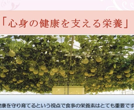 心身の健康食養生，健康をご指導します 心身のHealth Concierge：細胞環境を整えよう イメージ1