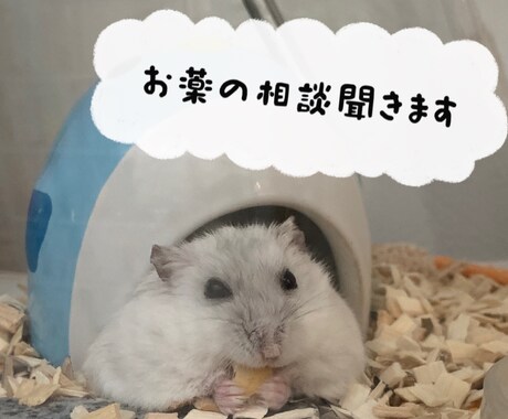 お薬の相談聞きます あなたの悩んでいるお薬の事について、ぜひ聞かせて下さい！ イメージ1