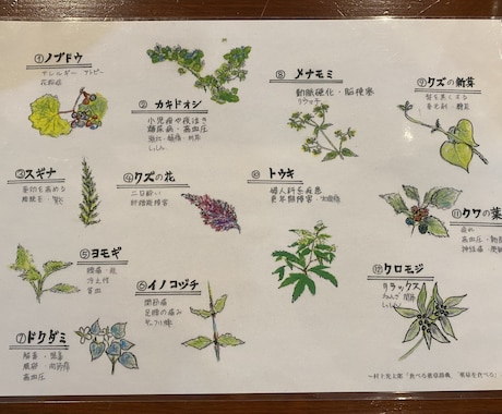 今すぐできる！美味しいお茶の淹れ方をお伝えします お家にある日本茶をどうしたら良いのかわからない方へ イメージ2