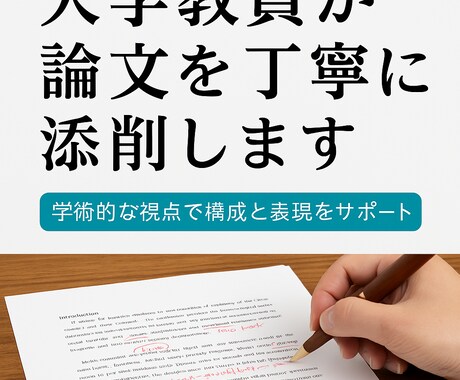 大学教員が論文を丁寧に添削します 学術的な視点で構成と表現をサポート イメージ1