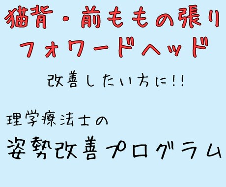 理学療法士が姿勢改善プログラム提供します 猫背や前ももの張りが気になる方へ!! イメージ1