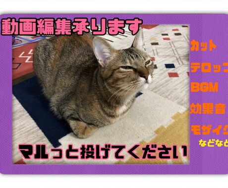 YouTubeなどの動画編集します 丸投げオッケーです^ ^安価でいい動画を✨ イメージ1