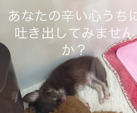 恋愛中の話なんでも聞きます 辛い心内吐き出して新たな自分自身を見つけだそう！ イメージ1
