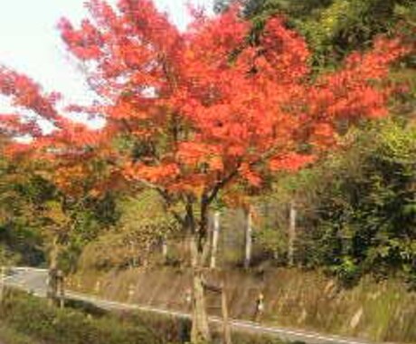 心がリラックスする2つの方法教えます すぐできるストレス解消、気分転換とは イメージ1