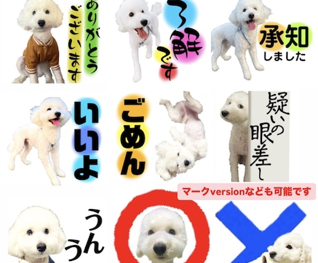 可愛いペットの写真をLINEスタンプにします 可愛いペットの写真を使って可愛いLINEスタンプにします♪ イメージ2