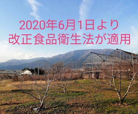 HACCP(飲食店用)作成マニュアル提供致します DIY【自作支援】 haccp考え方 手引書(飲食店用) イメージ2