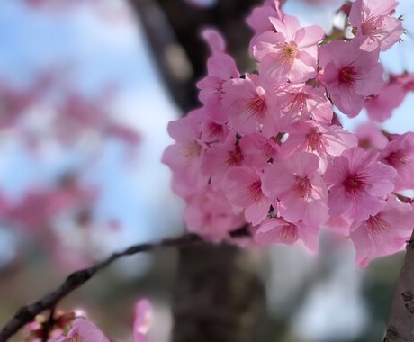 愚痴・悩み・他愛もない内容なんでも聞きます‼︎ます 身近に相談できる方がいない、とにかく誰かと話したいを叶えます イメージ1