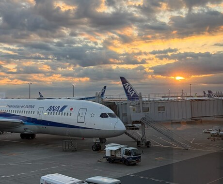 空港グランドスタッフ✈︎/OB訪問承ります チャットでトピック3つ分回答orビデオOFF30分のOB訪問 イメージ1