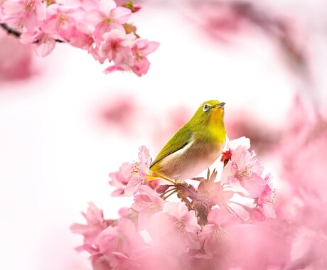 4月の運気を占います 〇〇をしましょう。でも〇〇には注意! イメージ1