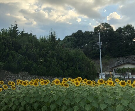 介護経験活かし悩み相談や愚痴聞きます 施設、デイサービス、訪問介護経験サービス提供責任者 イメージ1
