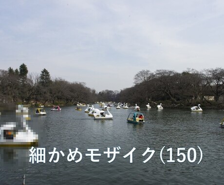 1分200円～】格安で簡単なモザイク編集します 格安で即納！見積依頼は無料！！まずはご相談ください！ イメージ2