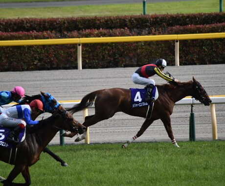 JRA競馬の毎週レース予想します 年間通してプラス収支にしたい方、競馬初心者の方向けです！ イメージ1