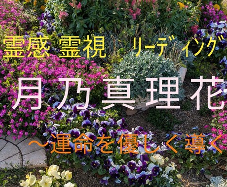 12月末迄の限定価格で占います 幼少期からの霊感で原因を読み解きます！ イメージ2