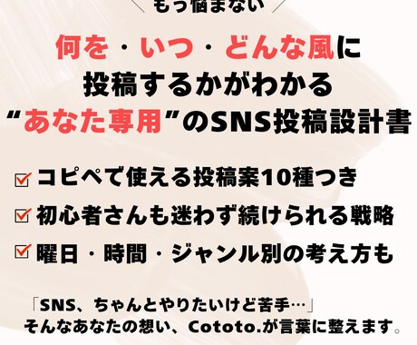 SNS投稿戦略＋使える投稿文10選お渡しします 発信の迷いをなくす言葉と整う戦略をお届け イメージ1