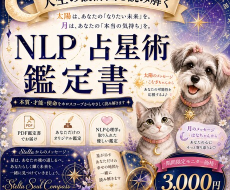 人生の設計図を読み解くNLP心理占星術を届けます 星が示す人生のテーマを読み解き、あなたらしい一歩へ導きます。 イメージ1