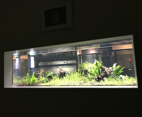 熱帯魚を始めたい方、サポートいたします 熱帯魚、海水魚飼育歴15年のナースマンです。 イメージ1