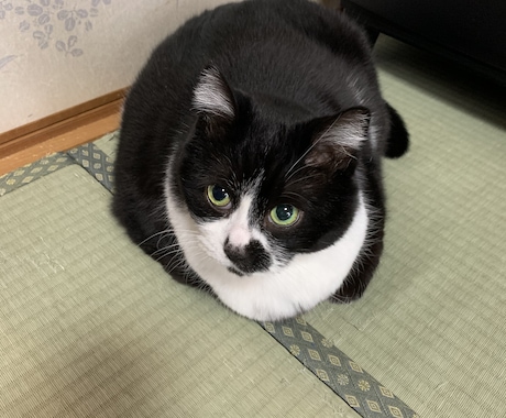 あなたの話を聞きます おしゃべりしながら、スッキリしよう! イメージ1