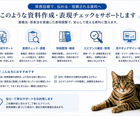 化粧品・健康食品の法規に則した資料を作成します 業界歴30年のプロが薬機法・景表法に配慮した資料を作成 イメージ2