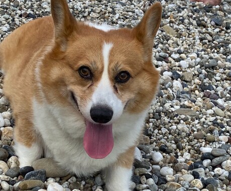 介護奮闘中！一緒に語り合いませんか待ってます 老老介護奮闘中！一緒に乗り越えませんか！？ イメージ2