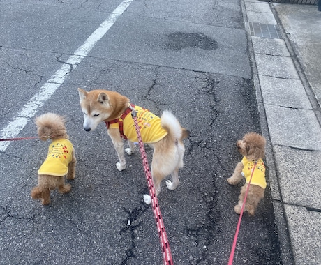 保育士35年経験で寄り添う記事執筆します 35年超のキャリアで綴る現場のリアル温度のある文章を届けます イメージ1