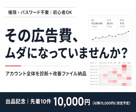 Amazon広告の無駄をまるごと診断します 分析はアカウント全体｜改善はファイル納品｜一人にしません イメージ1
