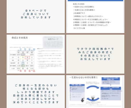 自己分析シートお作りします ワクワク四柱推命®︎であなただけの自己分析シート！ イメージ2