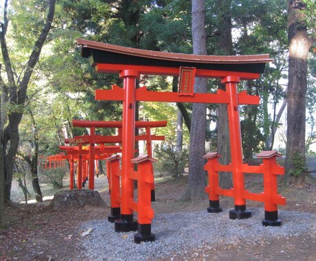 東京都内最強クラスの神社へ代理参拝致します 願望成就を最速で達成させたい方へ イメージ1