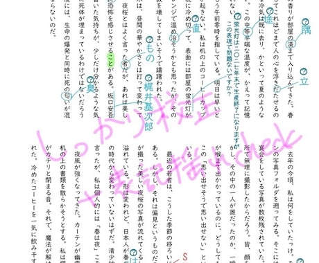 5枠限定大幅値下げ※日本語データの校正します 添削不要、文章の専門家の目を通したい、という方に最適 イメージ1