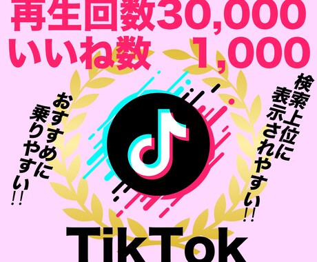 TikTok再生数3万回＋いいね1000伸ばします ティックトック再生回数といいねが同時に増えるよう拡散 イメージ1