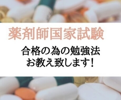 薬剤師国家試験合格へのサポートします オンライン授業で薬学部1〜6年生向けの個人授業をします イメージ1