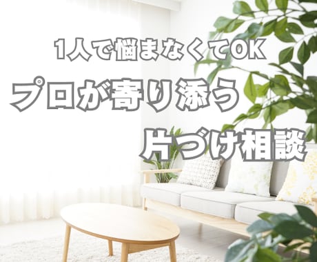 90分であなたの家の片づけられないをサポートします 整理収納アドバイザーがあなたのお家に合った片づけをアドバイス イメージ1