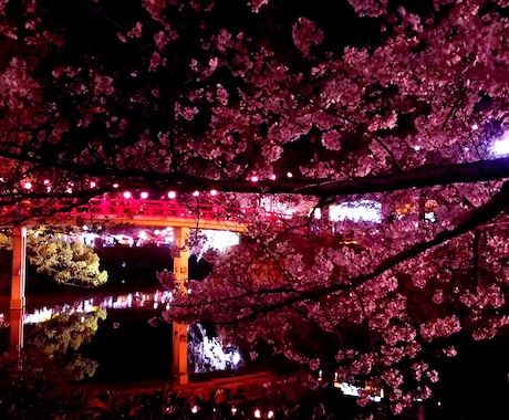桜の写真販売してます 綺麗なな風景写真をあなたの身近に イメージ1